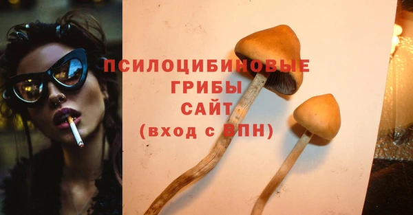 дурь Иннополис