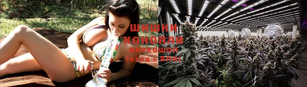 дурь Иннополис