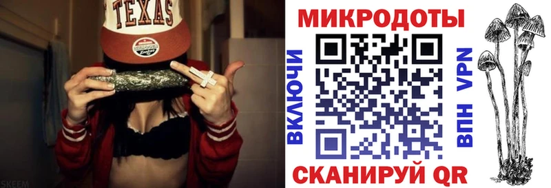 Псилоцибиновые грибы Cubensis  Касимов 