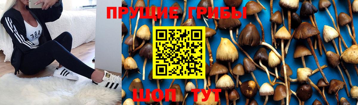 Псилоцибиновые грибы ЛСД Касимов