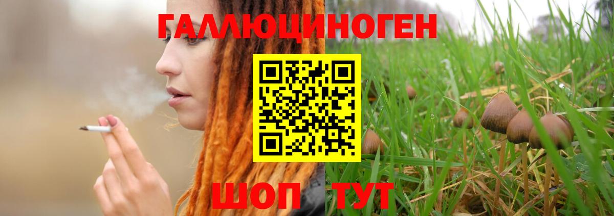 Касимов  Галлюциногенные грибы мухоморы  Вход с VPN 